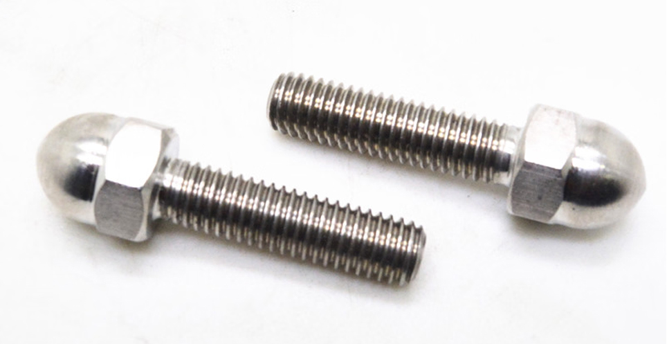 Stainless Steel Dome Bolt