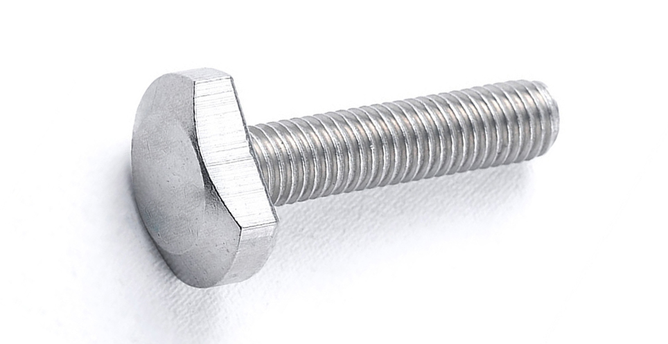 Stainless Steel T-Bolt